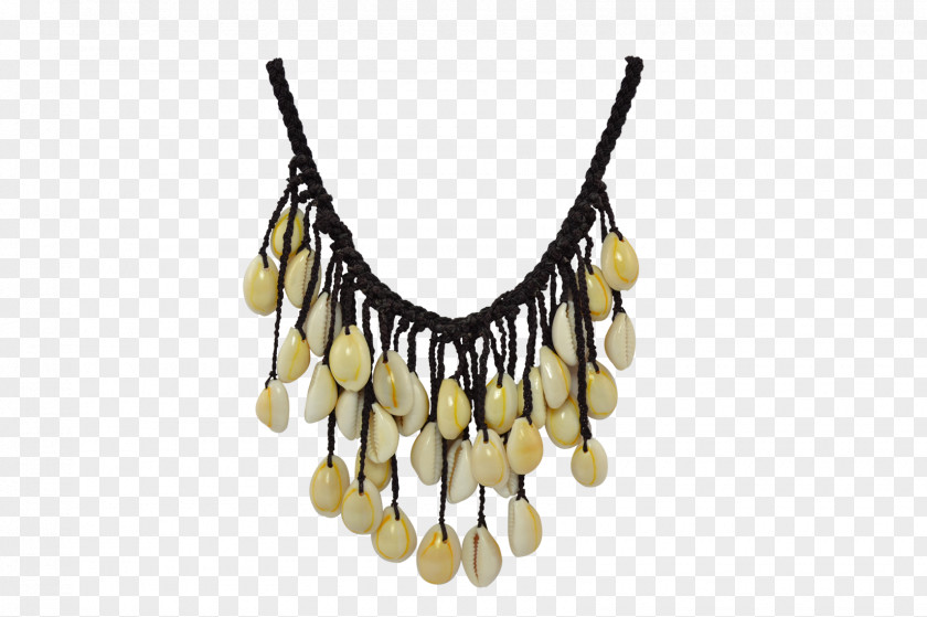 Necklace Seashell Jewellery Conch Puka Shell PNG