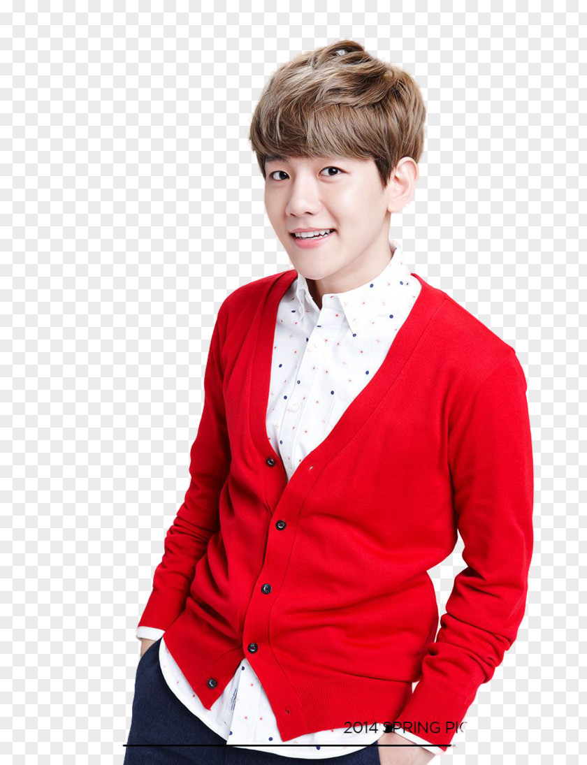 Render Baekhyun EXO South Korea K-pop PNG