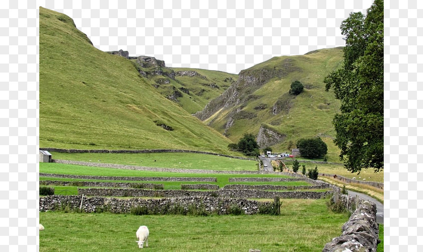 Rural Area Valley Highland Natural Landscape Pasture Hill Station Grassland PNG