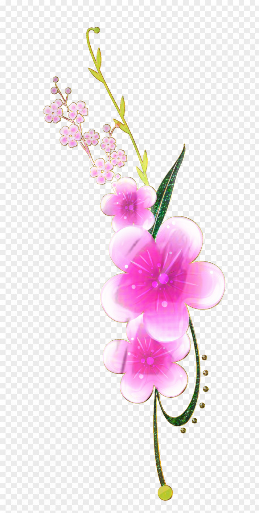 Cattleya Plant Stem Bouquet Of Flowers Drawing PNG