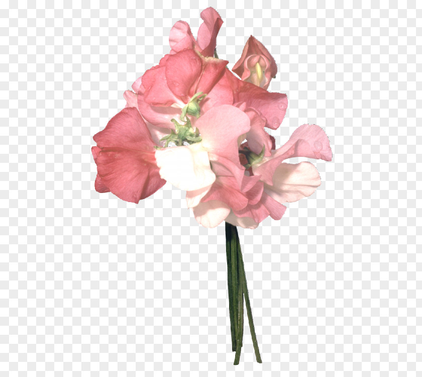 Colchicum Background Floral Design Cut Flowers Rose Flower Bouquet PNG