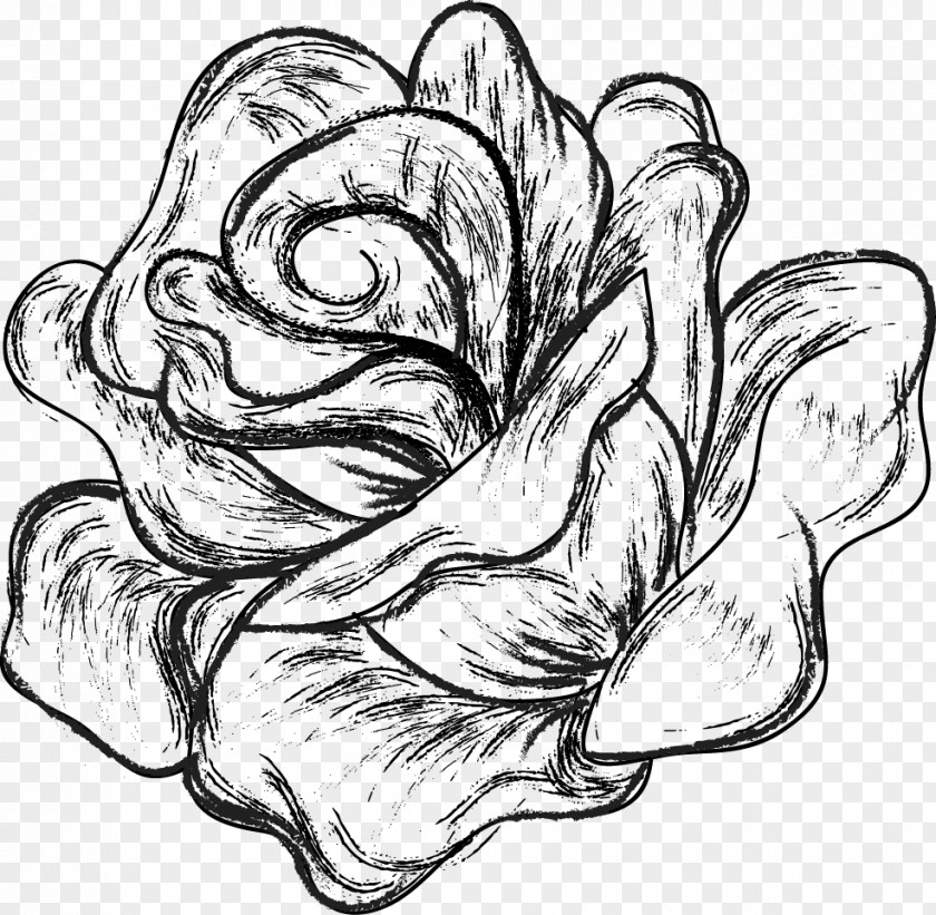 Flower Drawing Black And White Sketch PNG