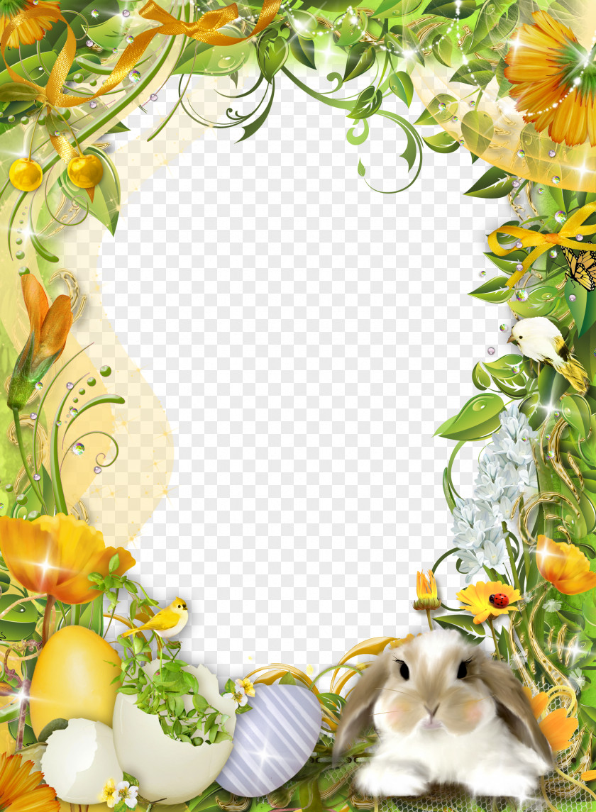Frame Template Design Pattern Easter Bunny Picture Photography PNG