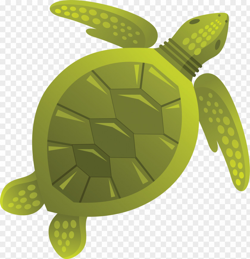 Turtle Sea Tortoise Jellyfish Clip Art PNG