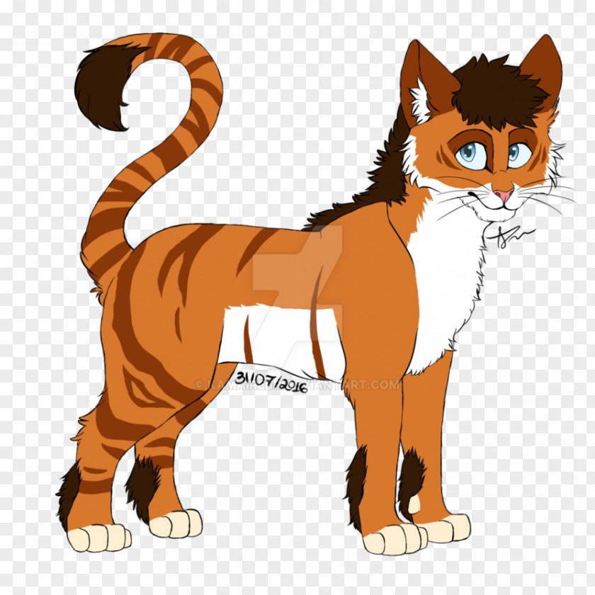 Angel Baby Cat Tiger Mammal Whiskers Animal PNG