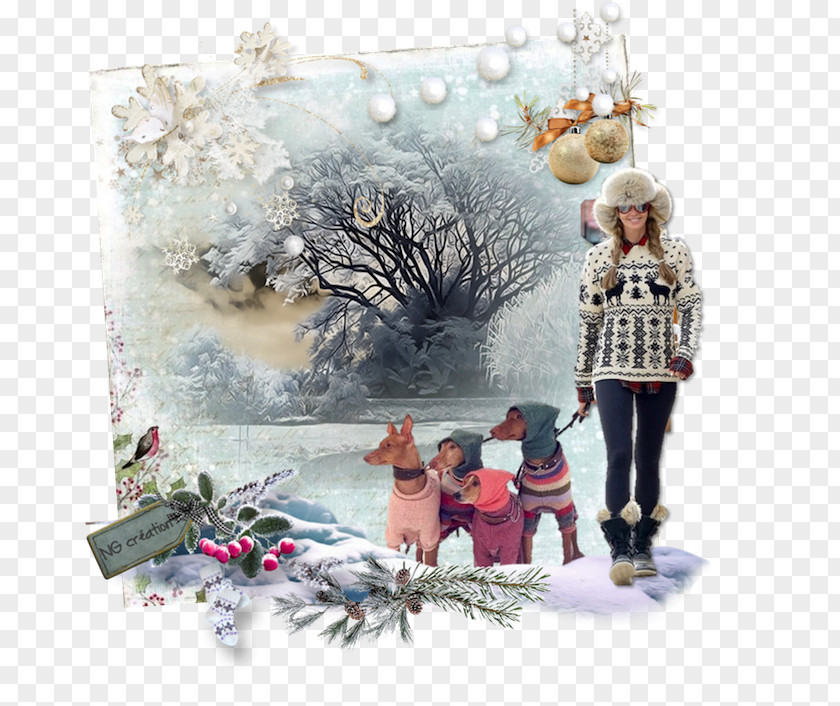Christmas Tree Ornament Winter Day PNG
