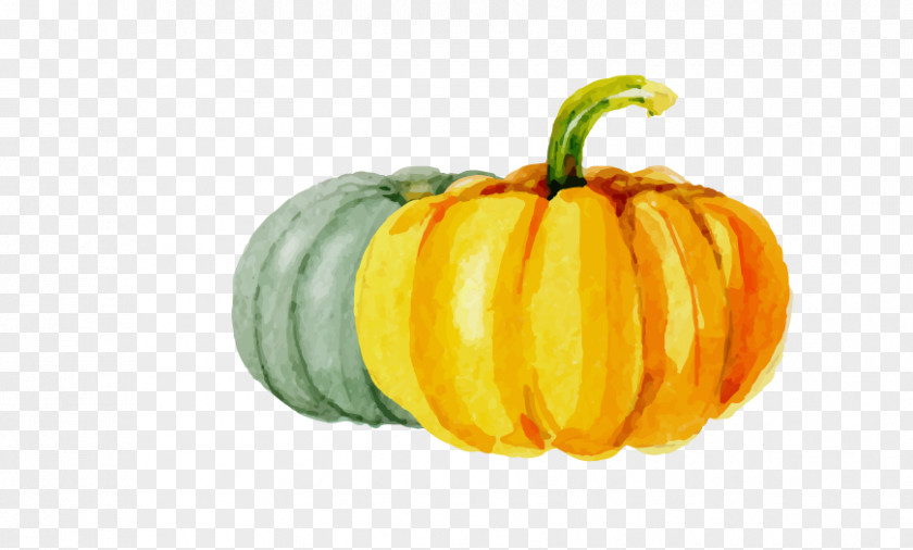 Drawing Pumpkin Calabaza Kabocha Halloween PNG