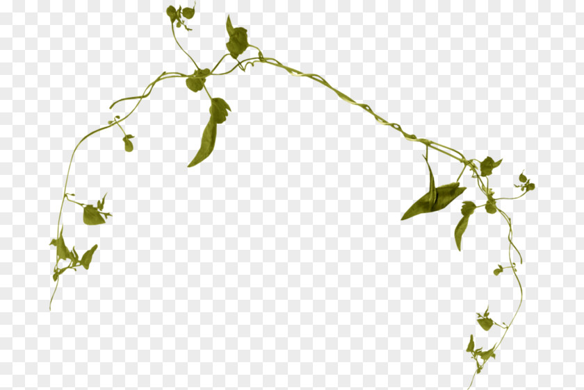 Flowering Plant Floral Design Twig PNG