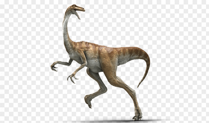 Header Gallimimus Velociraptor Baryonyx Parasaurolophus Jurassic Park PNG