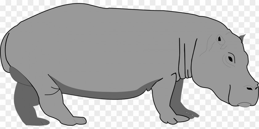 Hippopotamus Art Clip PNG