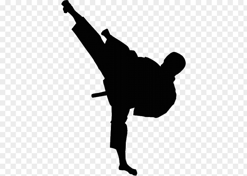 Karate Taekwondo Desktop Wallpaper Shotokan Sport PNG
