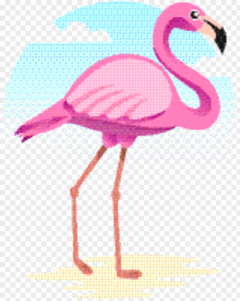 Wildlife Water Bird Pink Flamingo PNG