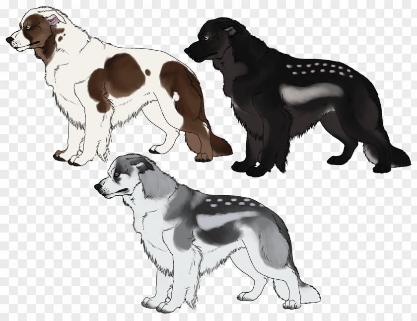 Dog Breed Stabyhoun Sporting Group Spaniel PNG