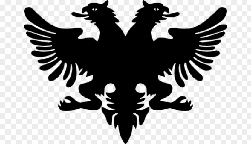 Logoalbanaineagle Flag Of Albania Coat Arms National PNG