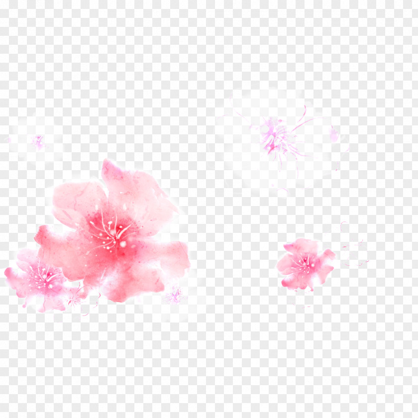 Peach Blossom Pink Image Desktop Wallpaper Pixel PNG