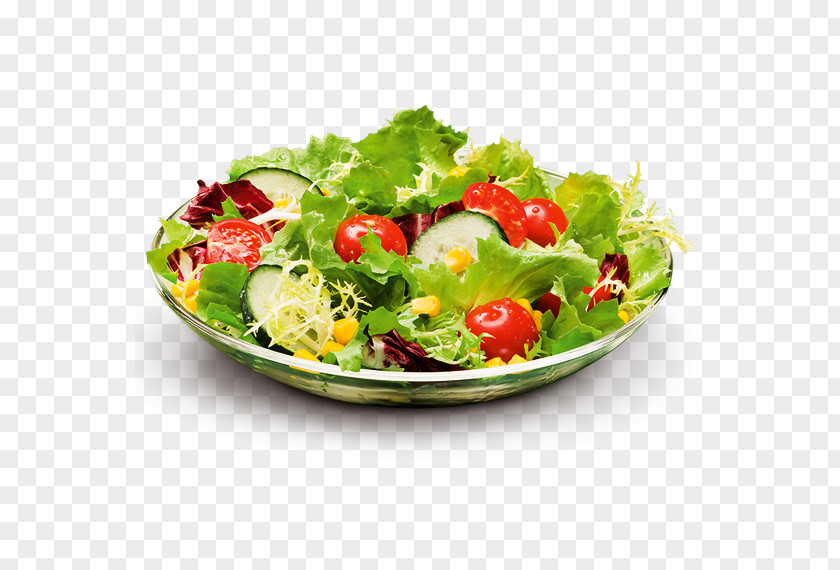 Salad Lettuce Tuna Vegetarian Cuisine Restaurant PNG