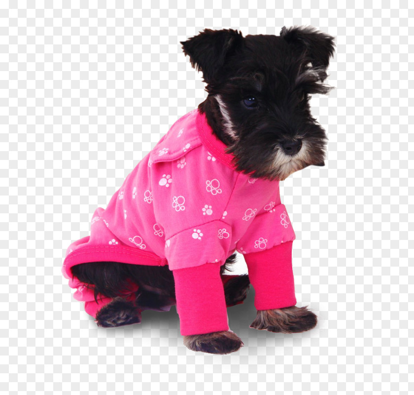 T-shirt Tracksuit Dog Pajamas Clothing PNG