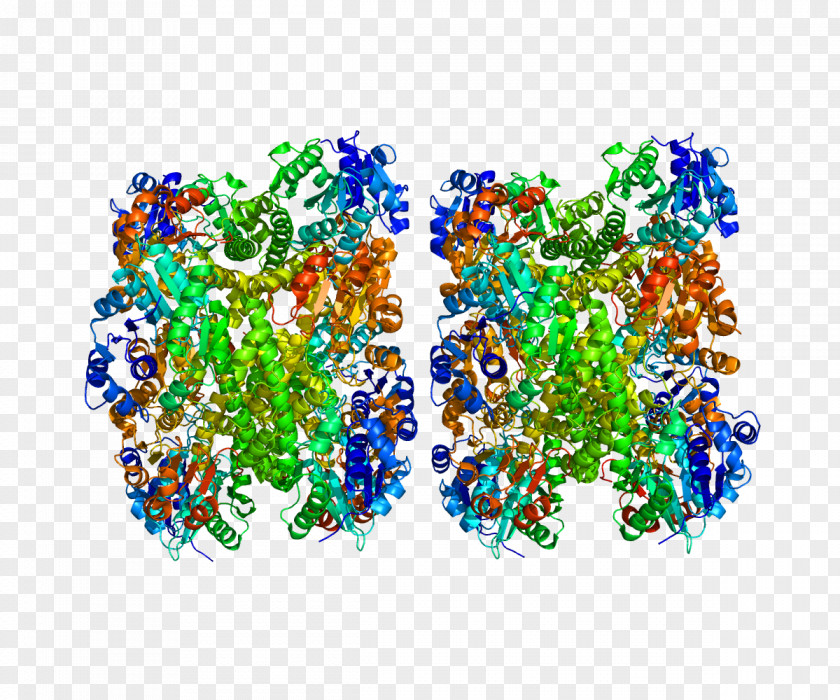 UDP-glucose 6-dehydrogenase Uridine Diphosphate Glucose Glyceraldehyde 3-phosphate Dehydrogenase PNG