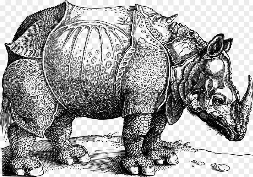 Vector Rhino Dxfcrers Rhinoceros National Gallery Of Art British Museum Printmaking PNG