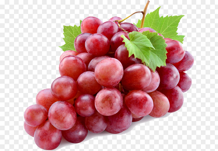 Wine Common Grape Vine Red Globe PNG