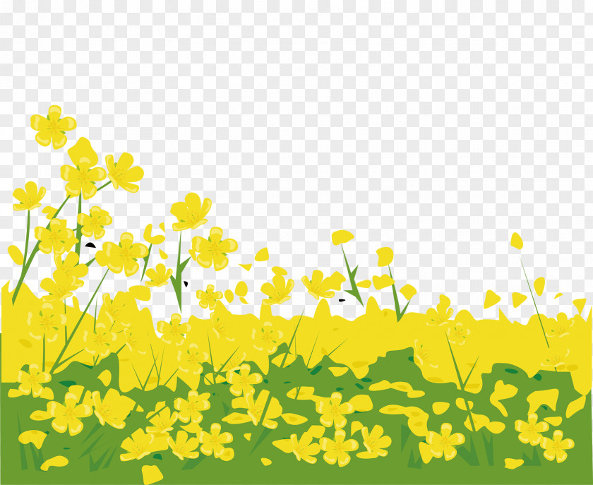 Yellow Flower Grass Map PNG