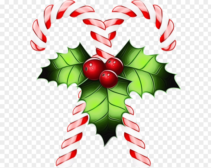 Candy Cane PNG