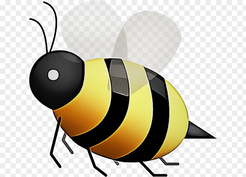 Cockroach Blister Beetles Bee Emoji PNG