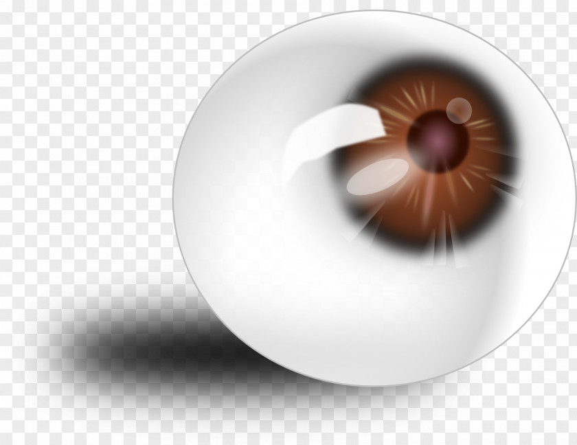Eye Red Human Color Clip Art PNG