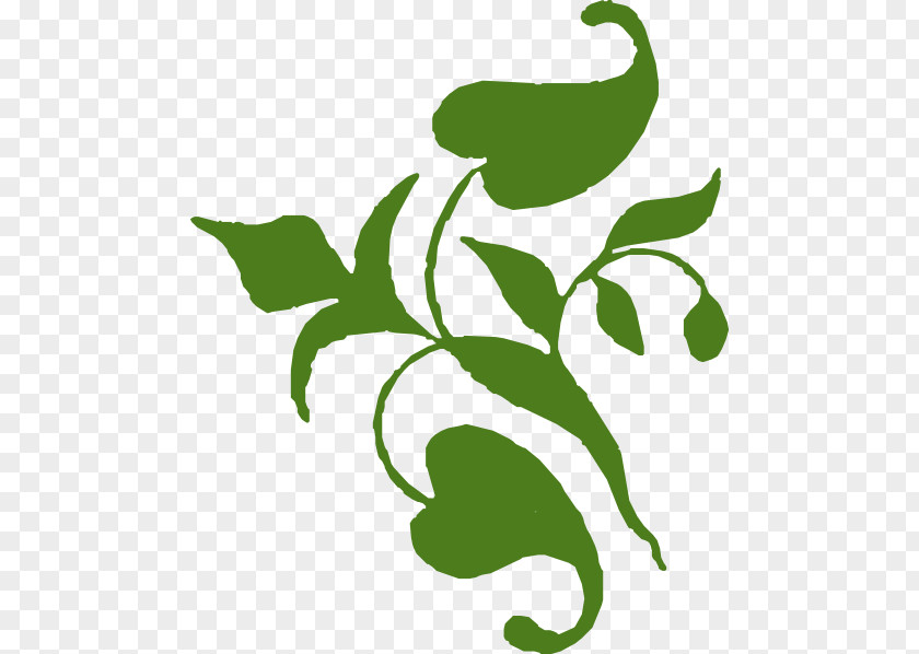 Jack And The Beanstalk Clipart Vine Leaf Clip Art PNG