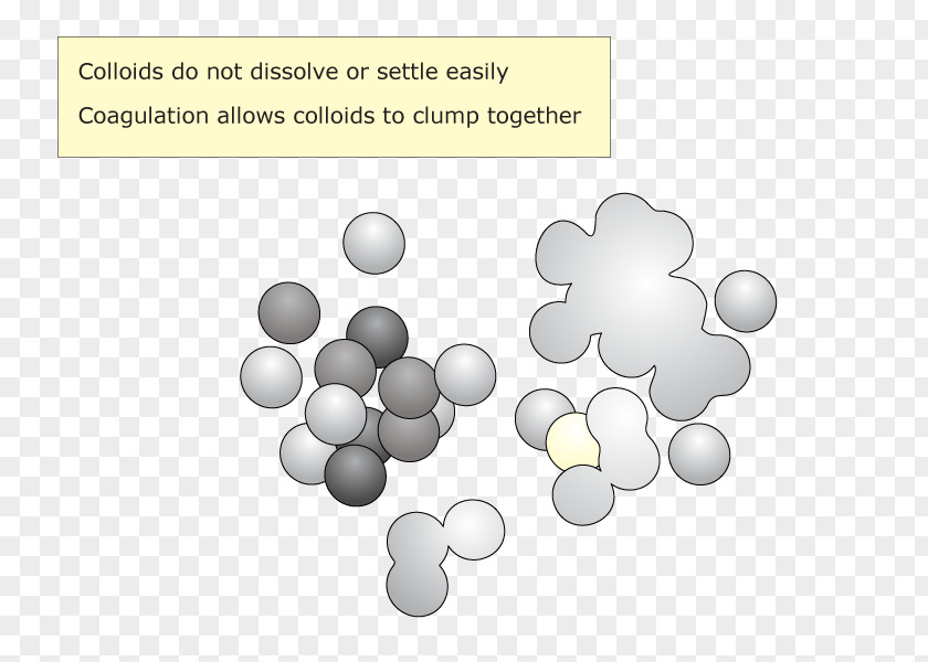 Knowledge Check Diagram Desktop Wallpaper PNG