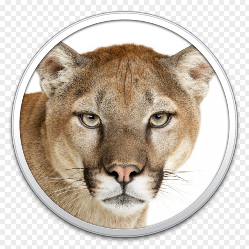 Mountain Lion Drawings OS X MacOS Mac Apple MacBook Pro Macintosh PNG