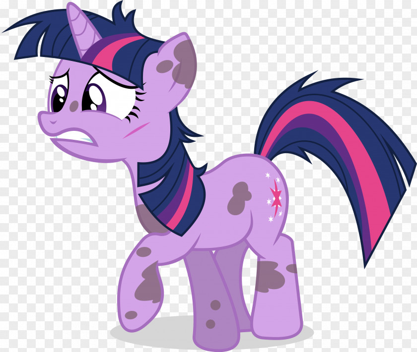Twilight Sparkle Pony Applejack Bella Swan Rainbow Dash PNG