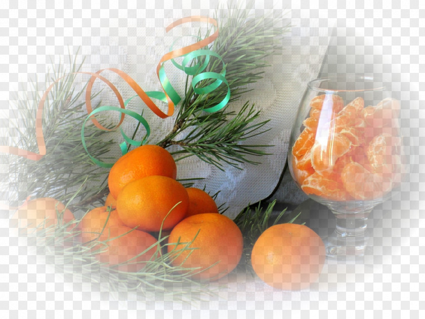 Vitamine The Art Of Yoshitaka Amano Fruit Still Life Mandarin Orange Painting PNG