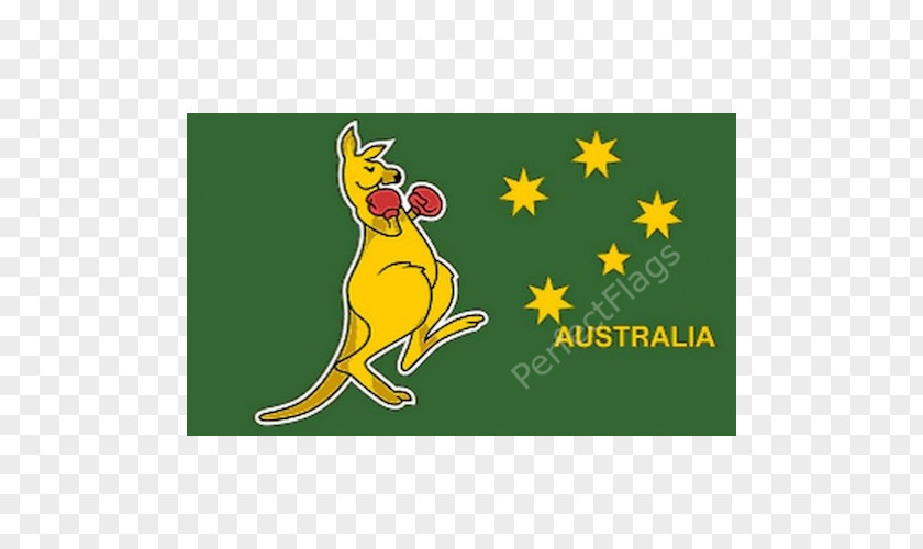 Australia Kangaroo Boxing Flag Of PNG