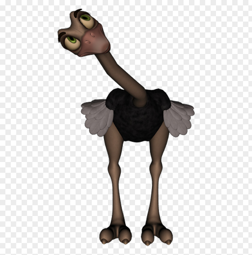 Horse Common Ostrich Camel Cartoon PNG