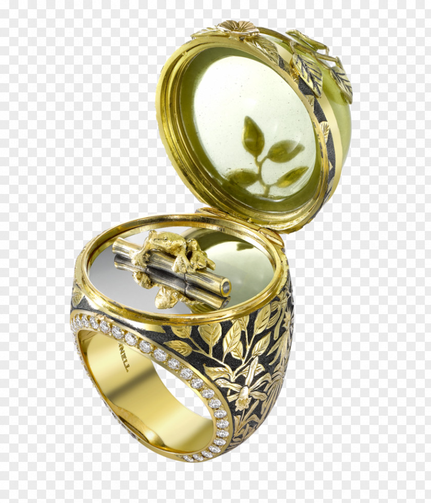 Ring Earring Jewellery Gemstone Bitxi PNG