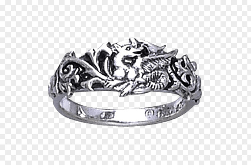 Silver Ring Dragon Wedding Body Jewellery PNG