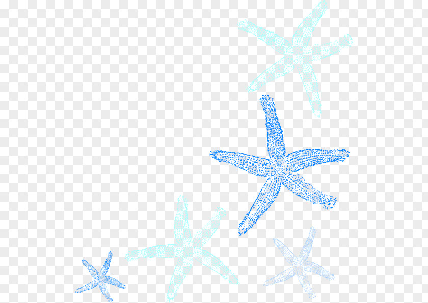 Star Ocean Starfish Clip Art PNG