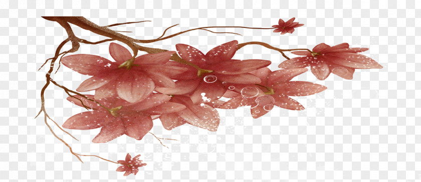 Bouquet Petal Cut Flowers Floral Design Cherry Blossom PNG