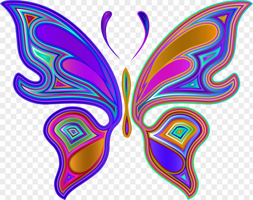 Butterfly Insect Clip Art PNG