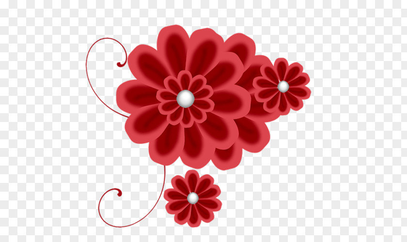 Chrysanthemum Dahlia Transvaal Daisy Cut Flowers LiveInternet PNG