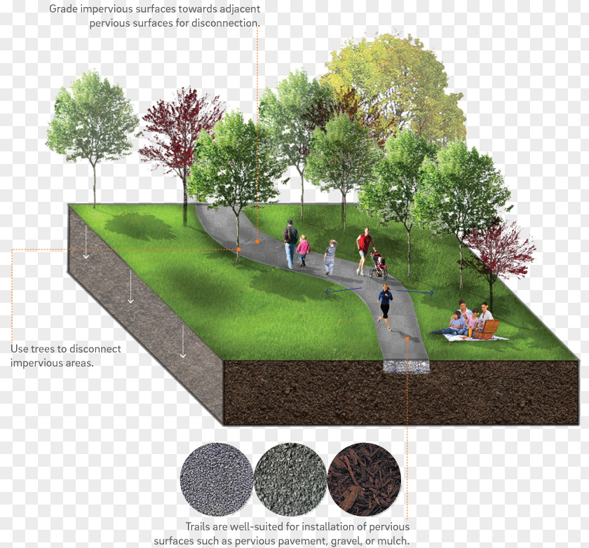 Design Backyard Landscaping Lawn Urban PNG