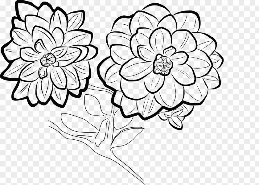 Floral Design Drawing Coloring Book Visual Arts PNG