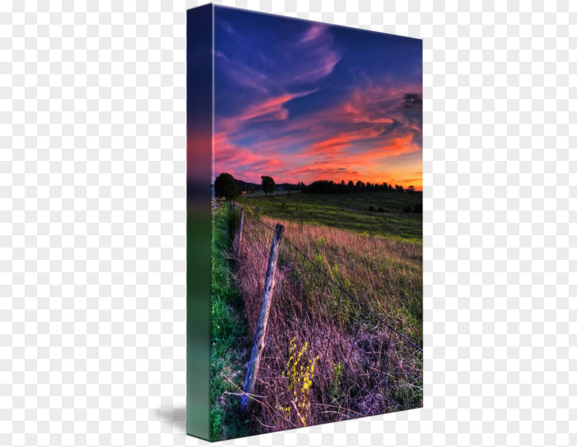 Green Sky Summit Cemetery Gallery Wrap Ecoregion Canvas Art PNG