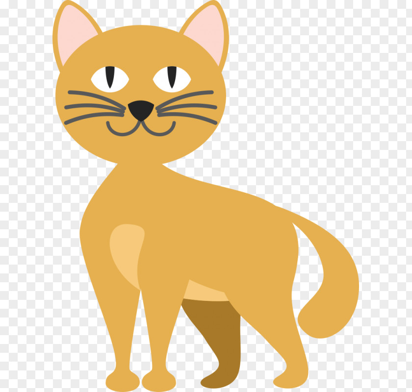 Kitten Whiskers Cat PNG