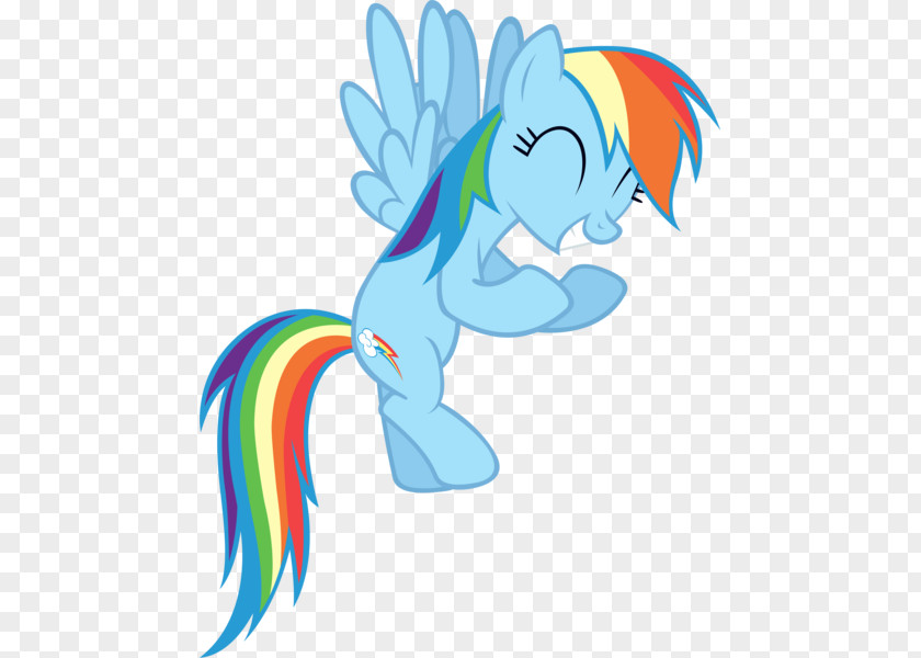 Rainbow Dash Likes Girls Pony Art PNG