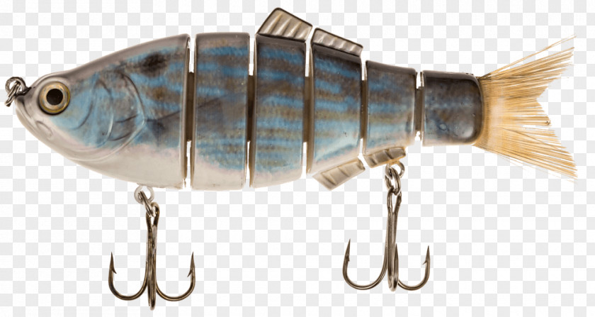 Sardine Spoon Lure Oily Fish Mackerel Perch PNG