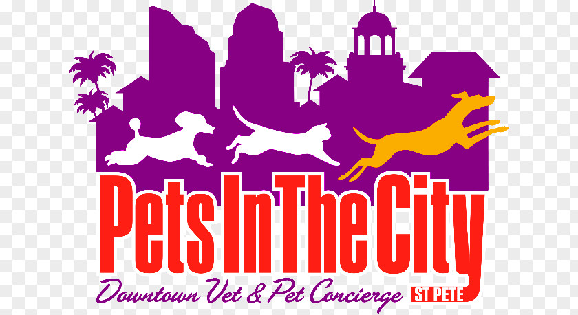 St-petersburg Pets In The City St Pete Northeast Animal Hospital Dog Veterinarian PNG