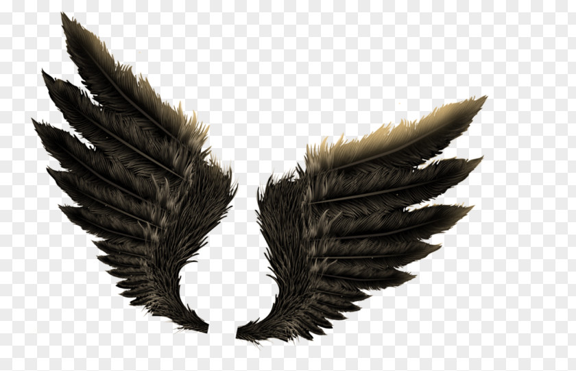 Angel Vector Graphics Image Illustration PNG