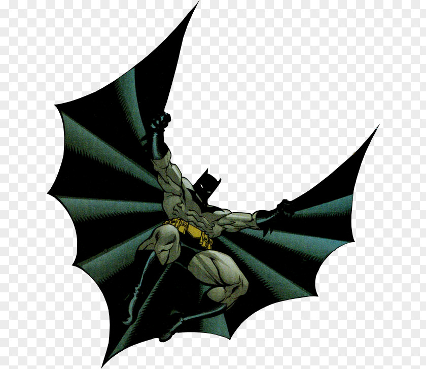 Batman Superman Photograph Dick Grayson Catwoman PNG